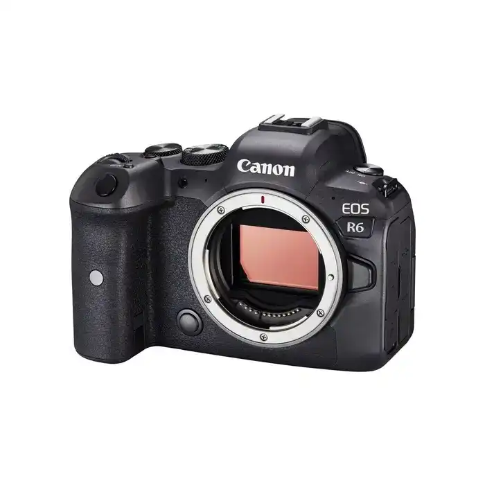 CANON EOS R6 Mark II + RF 24-105 mm f/4-7,1 IS STM