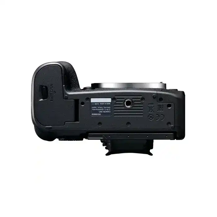 CANON EOS R6 Mark II + RF 24-105 mm f/4-7,1 IS STM
