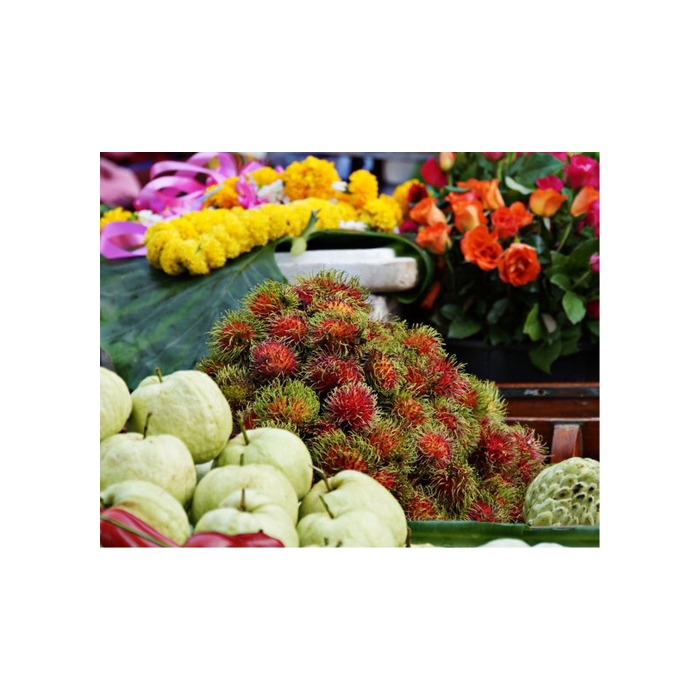 Sony Cyber-shot DSC-W830