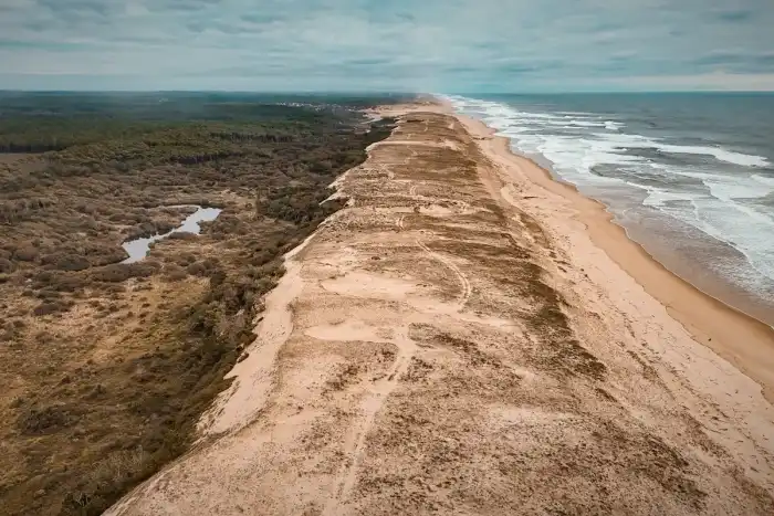 Nature - Landes 