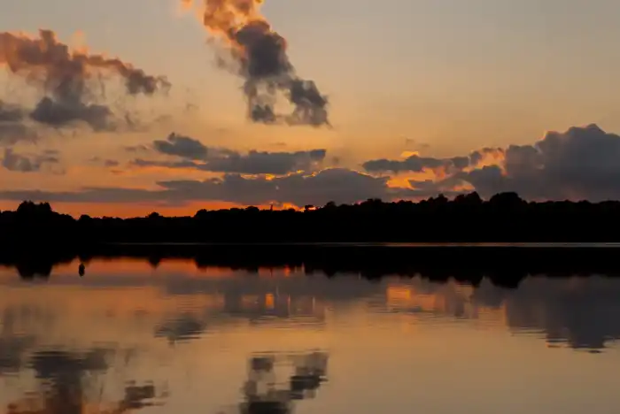 Nature - Landes 