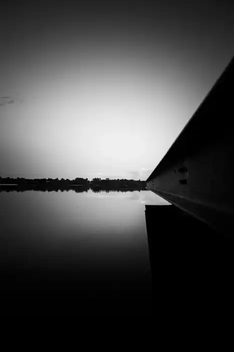 Nature - Landes 