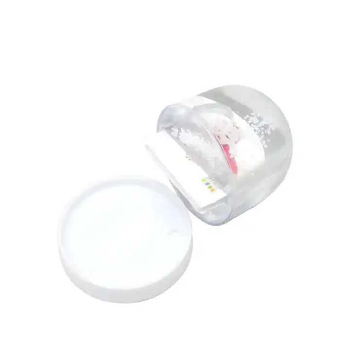 DEKNUDT Boule de neige photo en résine transparente