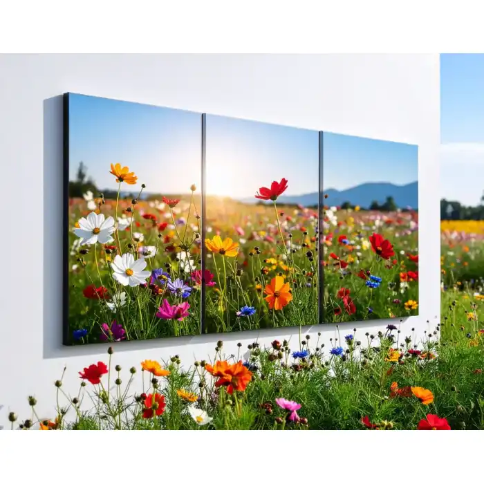 Impression photo sur plexiglass ou sur toile