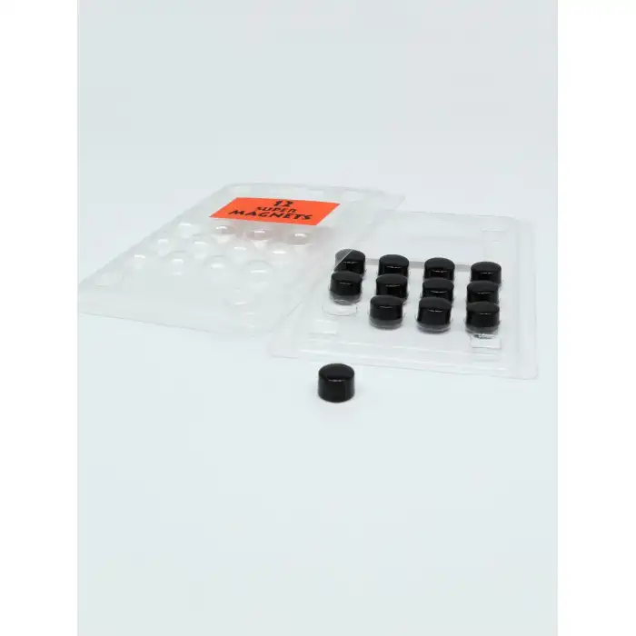 DEKNUDT 12 petits aimants noirs ronds